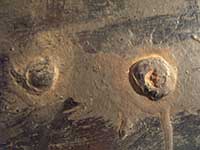 Flschung Lokschild 01 2050-1